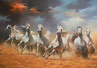 Horses Running Wild VI